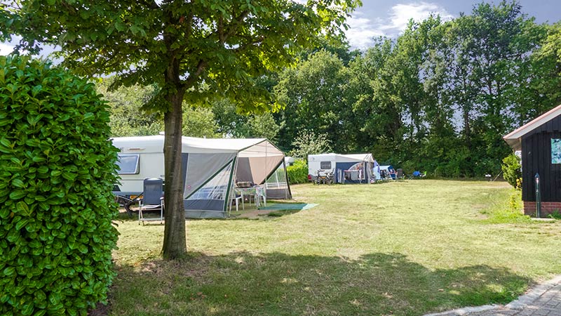 Ruime campingplaatsen van Minicamping 